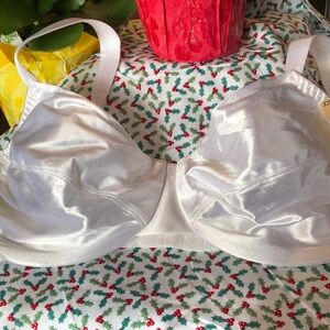 Penny’s underwire bra . 38c